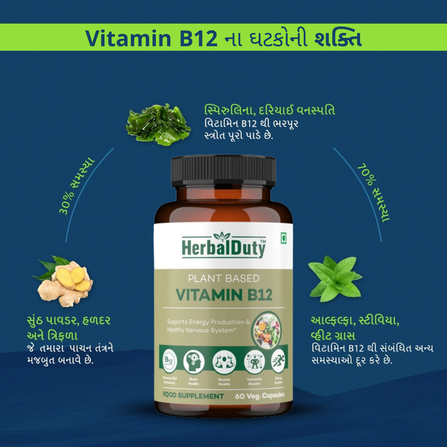 Vitamin B12